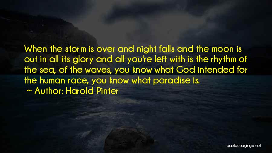 Harold Pinter Quotes: When The Storm Is Over And Night Falls And The Moon Is Out In All Its Glory And All You're