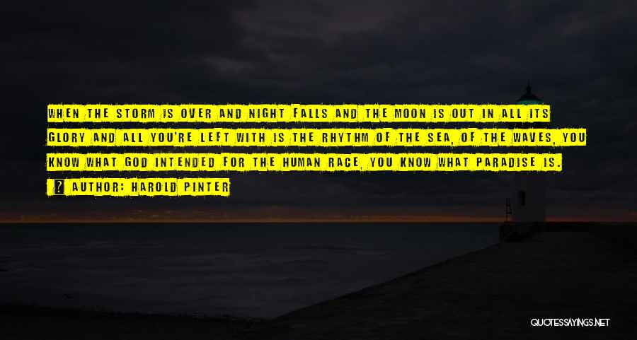 Harold Pinter Quotes: When The Storm Is Over And Night Falls And The Moon Is Out In All Its Glory And All You're