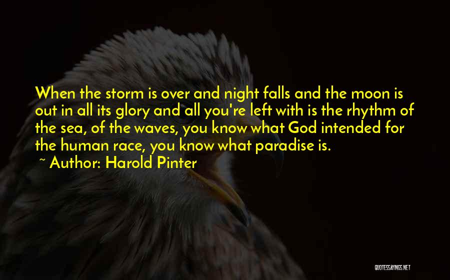 Harold Pinter Quotes: When The Storm Is Over And Night Falls And The Moon Is Out In All Its Glory And All You're