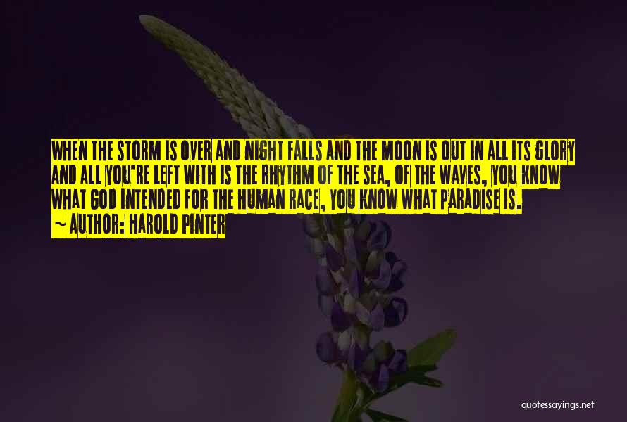 Harold Pinter Quotes: When The Storm Is Over And Night Falls And The Moon Is Out In All Its Glory And All You're