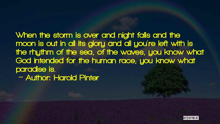 Harold Pinter Quotes: When The Storm Is Over And Night Falls And The Moon Is Out In All Its Glory And All You're