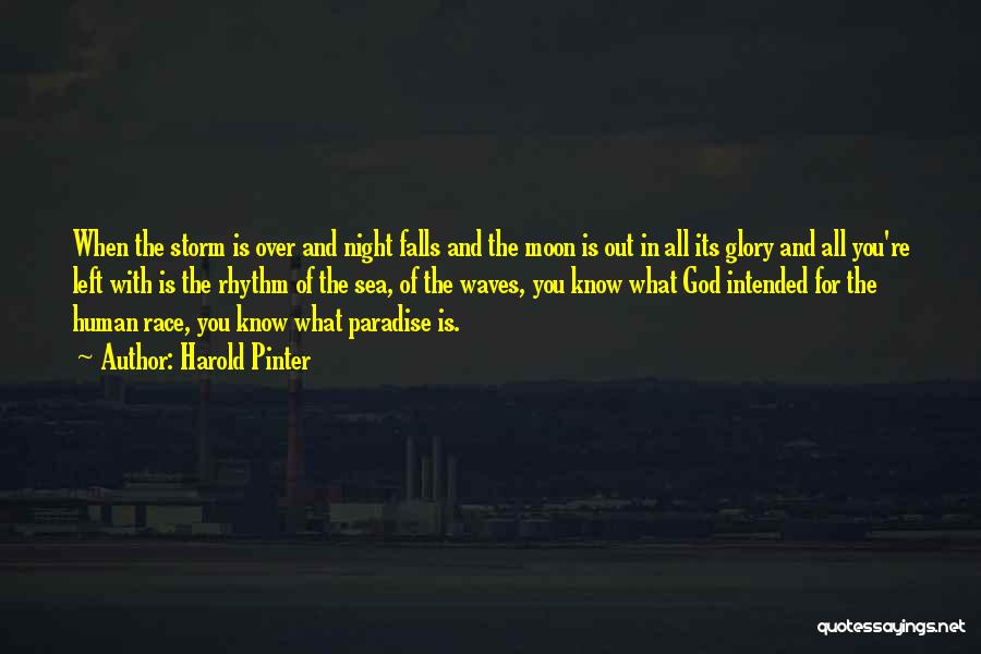 Harold Pinter Quotes: When The Storm Is Over And Night Falls And The Moon Is Out In All Its Glory And All You're