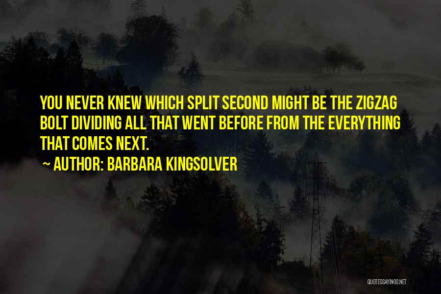 Barbara Kingsolver Quotes: You Never Knew Which Split Second Might Be The Zigzag Bolt Dividing All That Went Before From The Everything That