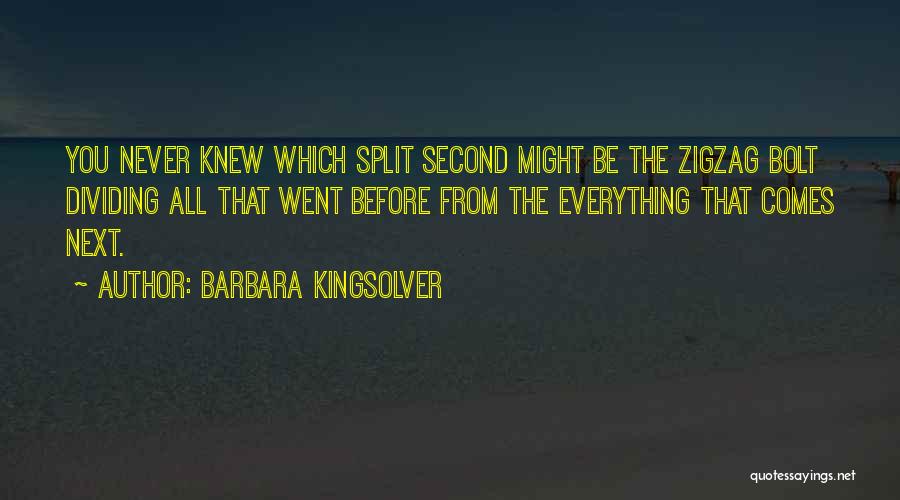 Barbara Kingsolver Quotes: You Never Knew Which Split Second Might Be The Zigzag Bolt Dividing All That Went Before From The Everything That