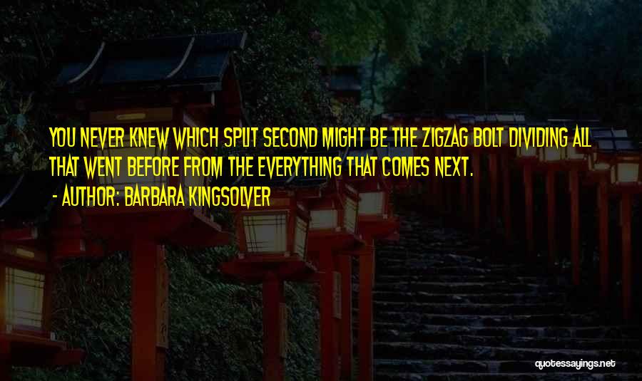 Barbara Kingsolver Quotes: You Never Knew Which Split Second Might Be The Zigzag Bolt Dividing All That Went Before From The Everything That