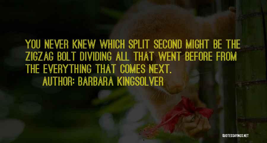 Barbara Kingsolver Quotes: You Never Knew Which Split Second Might Be The Zigzag Bolt Dividing All That Went Before From The Everything That