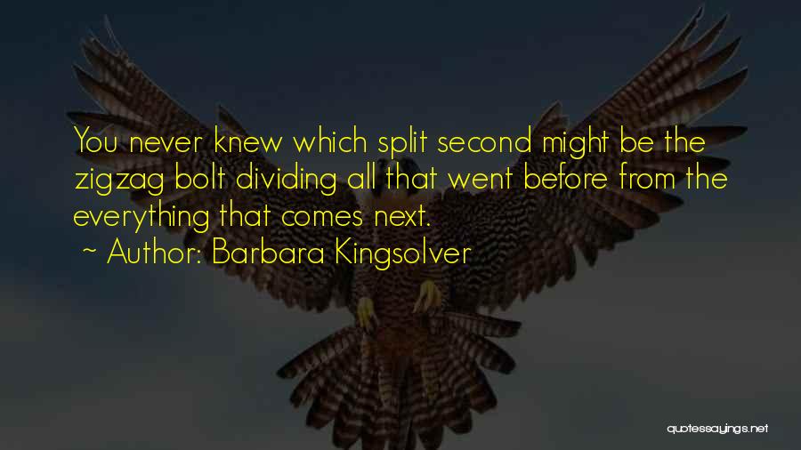 Barbara Kingsolver Quotes: You Never Knew Which Split Second Might Be The Zigzag Bolt Dividing All That Went Before From The Everything That