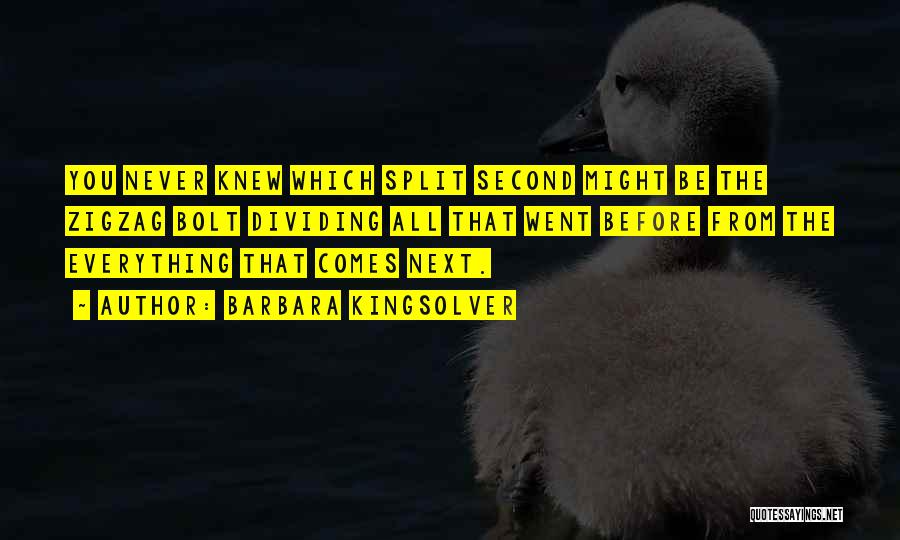 Barbara Kingsolver Quotes: You Never Knew Which Split Second Might Be The Zigzag Bolt Dividing All That Went Before From The Everything That