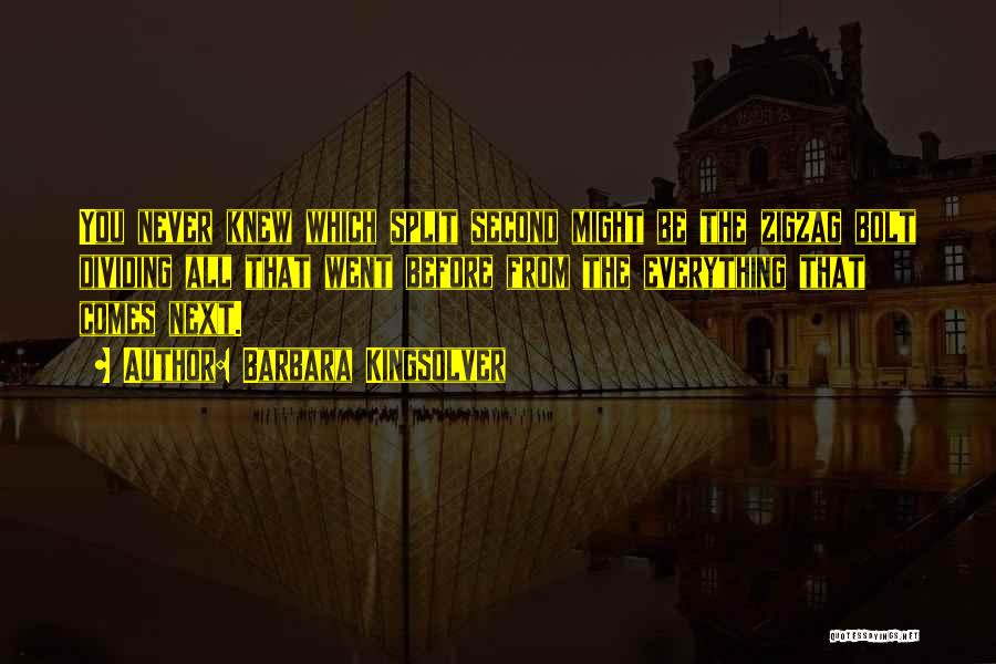 Barbara Kingsolver Quotes: You Never Knew Which Split Second Might Be The Zigzag Bolt Dividing All That Went Before From The Everything That