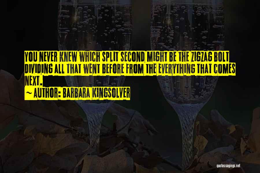 Barbara Kingsolver Quotes: You Never Knew Which Split Second Might Be The Zigzag Bolt Dividing All That Went Before From The Everything That