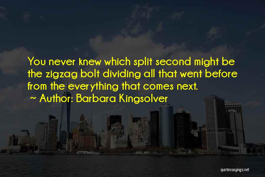 Barbara Kingsolver Quotes: You Never Knew Which Split Second Might Be The Zigzag Bolt Dividing All That Went Before From The Everything That