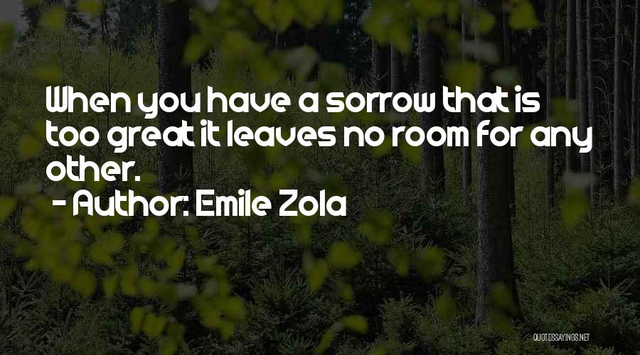 Emile Zola Quotes: When You Have A Sorrow That Is Too Great It Leaves No Room For Any Other.