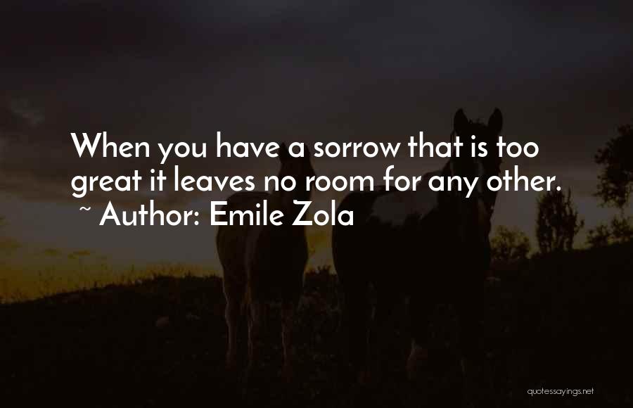 Emile Zola Quotes: When You Have A Sorrow That Is Too Great It Leaves No Room For Any Other.