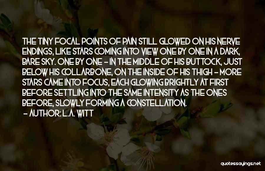 L.A. Witt Quotes: The Tiny Focal Points Of Pain Still Glowed On His Nerve Endings, Like Stars Coming Into View One By One