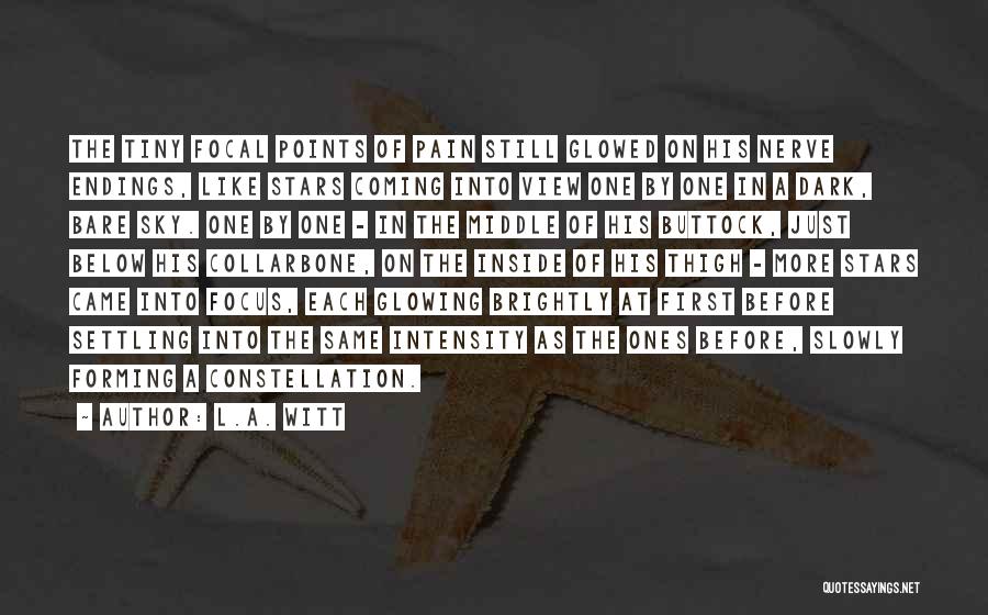 L.A. Witt Quotes: The Tiny Focal Points Of Pain Still Glowed On His Nerve Endings, Like Stars Coming Into View One By One