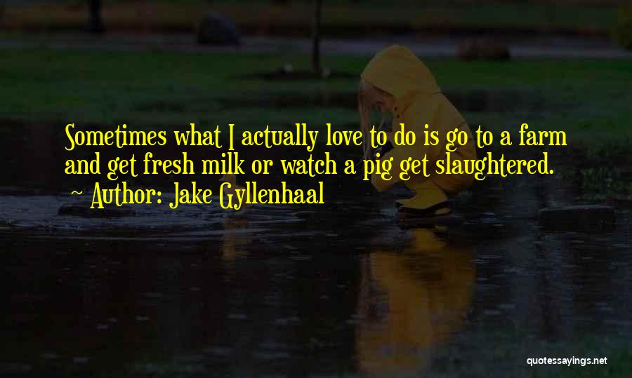 Jake Gyllenhaal Quotes: Sometimes What I Actually Love To Do Is Go To A Farm And Get Fresh Milk Or Watch A Pig