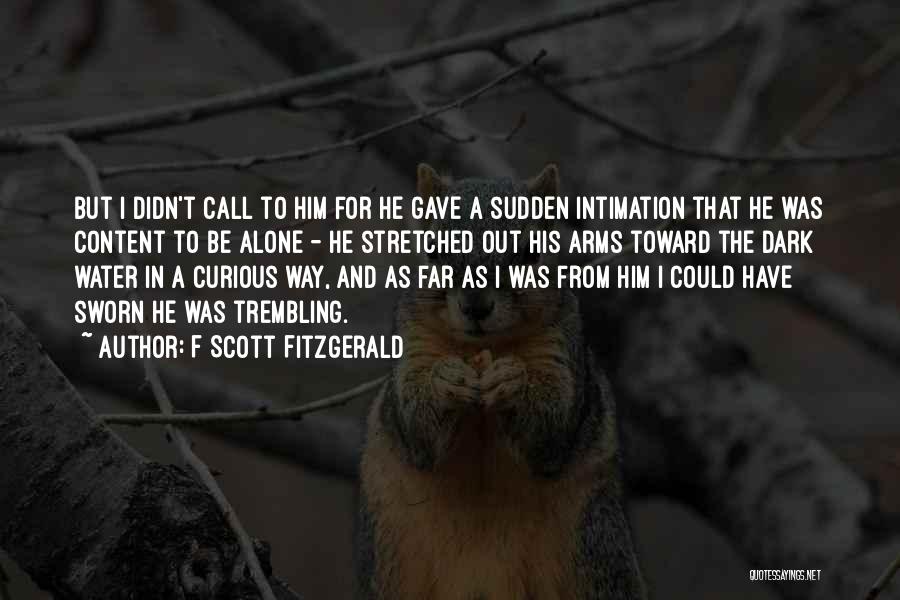 F Scott Fitzgerald Quotes: But I Didn't Call To Him For He Gave A Sudden Intimation That He Was Content To Be Alone -