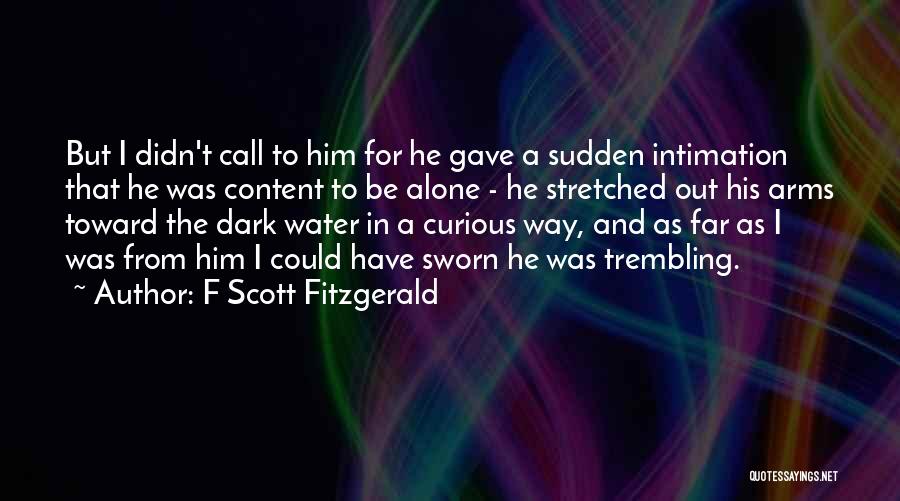 F Scott Fitzgerald Quotes: But I Didn't Call To Him For He Gave A Sudden Intimation That He Was Content To Be Alone -