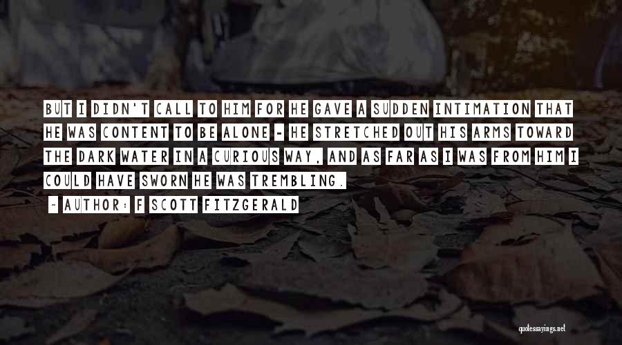 F Scott Fitzgerald Quotes: But I Didn't Call To Him For He Gave A Sudden Intimation That He Was Content To Be Alone -