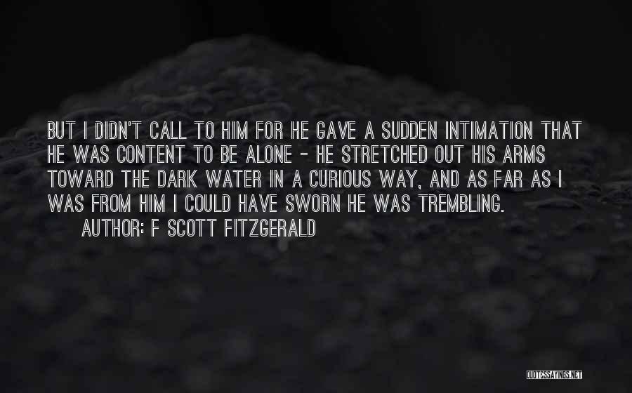 F Scott Fitzgerald Quotes: But I Didn't Call To Him For He Gave A Sudden Intimation That He Was Content To Be Alone -