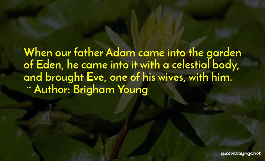 Brigham Young Quotes: When Our Father Adam Came Into The Garden Of Eden, He Came Into It With A Celestial Body, And Brought