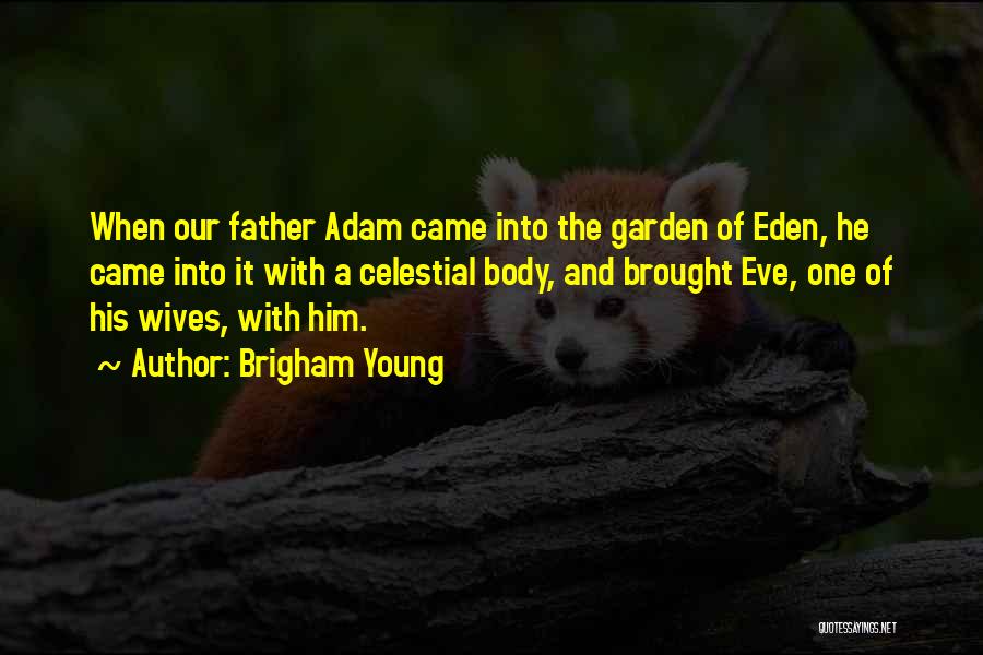 Brigham Young Quotes: When Our Father Adam Came Into The Garden Of Eden, He Came Into It With A Celestial Body, And Brought