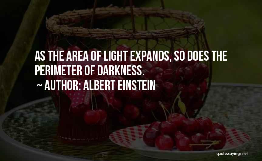 Albert Einstein Quotes: As The Area Of Light Expands, So Does The Perimeter Of Darkness.