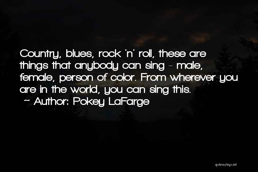 Pokey LaFarge Quotes: Country, Blues, Rock 'n' Roll, These Are Things That Anybody Can Sing - Male, Female, Person Of Color. From Wherever