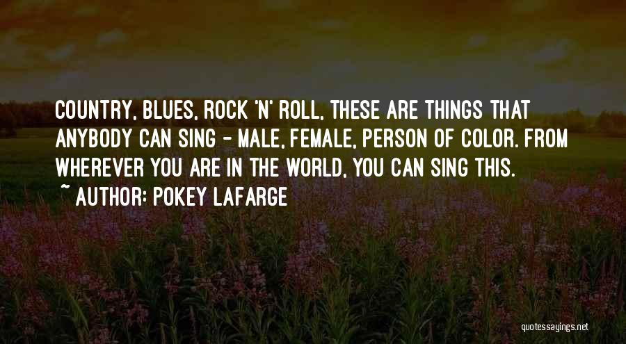 Pokey LaFarge Quotes: Country, Blues, Rock 'n' Roll, These Are Things That Anybody Can Sing - Male, Female, Person Of Color. From Wherever