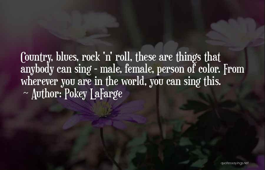 Pokey LaFarge Quotes: Country, Blues, Rock 'n' Roll, These Are Things That Anybody Can Sing - Male, Female, Person Of Color. From Wherever