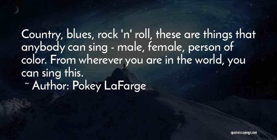 Pokey LaFarge Quotes: Country, Blues, Rock 'n' Roll, These Are Things That Anybody Can Sing - Male, Female, Person Of Color. From Wherever