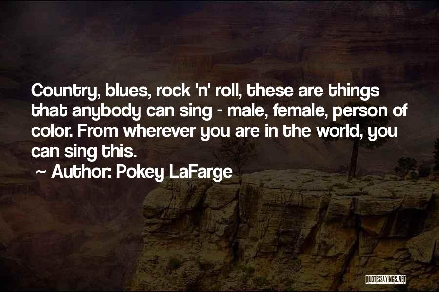 Pokey LaFarge Quotes: Country, Blues, Rock 'n' Roll, These Are Things That Anybody Can Sing - Male, Female, Person Of Color. From Wherever