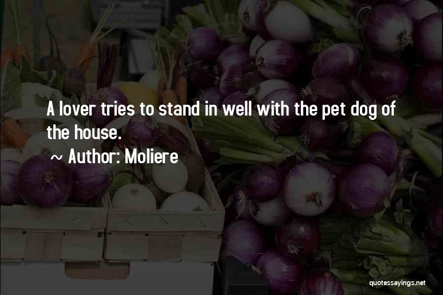 Moliere Quotes: A Lover Tries To Stand In Well With The Pet Dog Of The House.