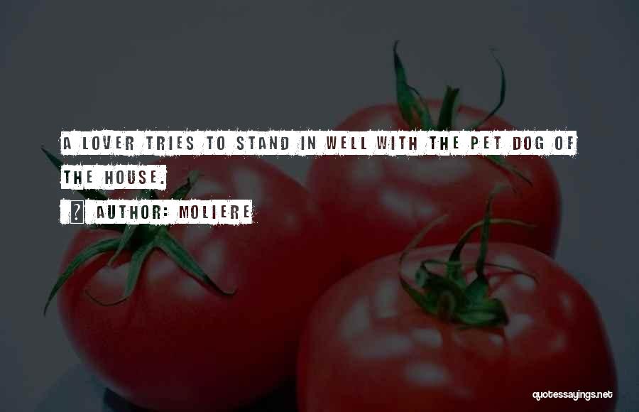 Moliere Quotes: A Lover Tries To Stand In Well With The Pet Dog Of The House.