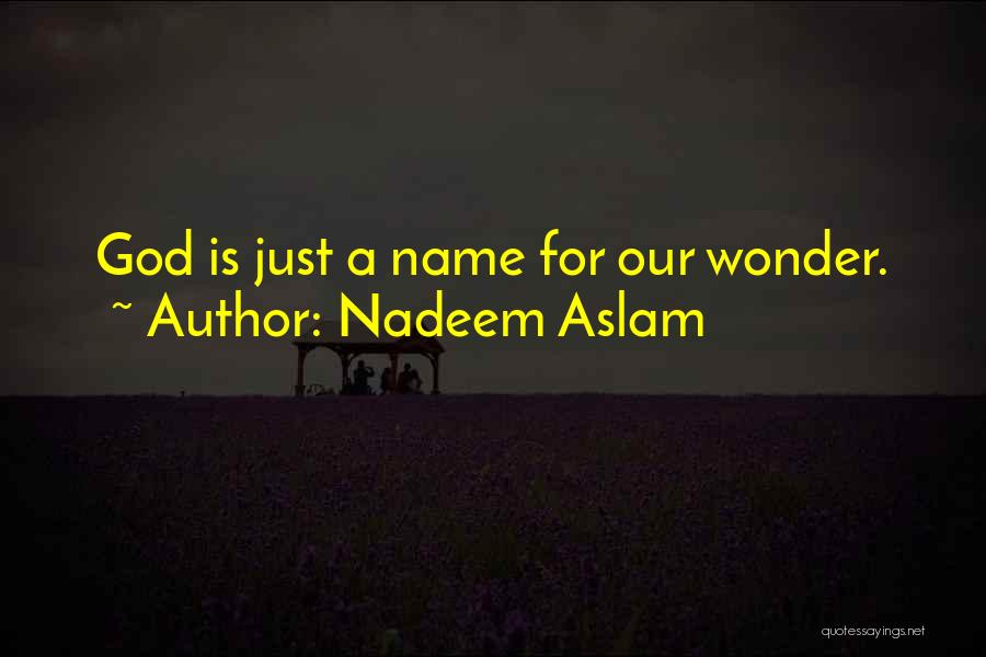 Nadeem Aslam Quotes: God Is Just A Name For Our Wonder.