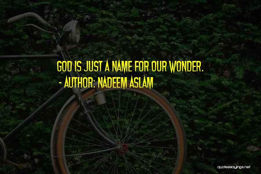 Nadeem Aslam Quotes: God Is Just A Name For Our Wonder.