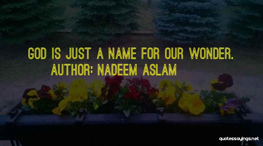 Nadeem Aslam Quotes: God Is Just A Name For Our Wonder.