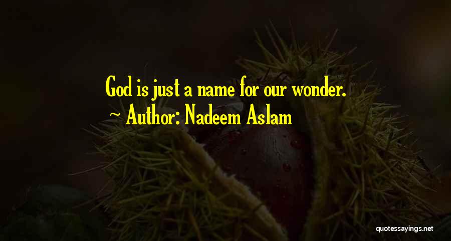 Nadeem Aslam Quotes: God Is Just A Name For Our Wonder.