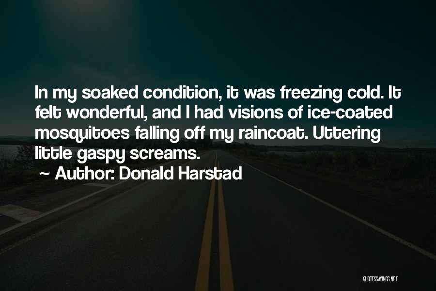 Donald Harstad Quotes: In My Soaked Condition, It Was Freezing Cold. It Felt Wonderful, And I Had Visions Of Ice-coated Mosquitoes Falling Off