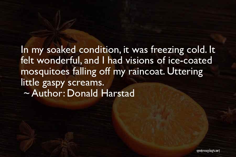 Donald Harstad Quotes: In My Soaked Condition, It Was Freezing Cold. It Felt Wonderful, And I Had Visions Of Ice-coated Mosquitoes Falling Off