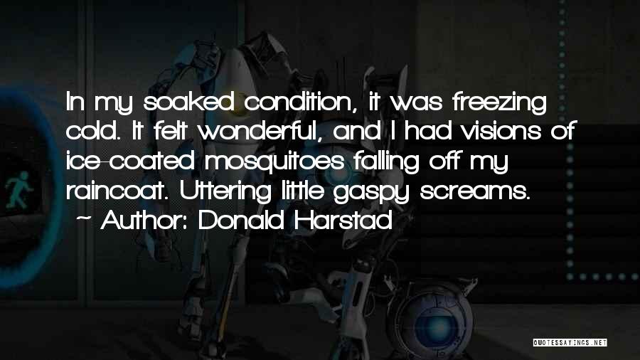 Donald Harstad Quotes: In My Soaked Condition, It Was Freezing Cold. It Felt Wonderful, And I Had Visions Of Ice-coated Mosquitoes Falling Off