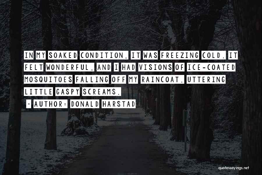 Donald Harstad Quotes: In My Soaked Condition, It Was Freezing Cold. It Felt Wonderful, And I Had Visions Of Ice-coated Mosquitoes Falling Off