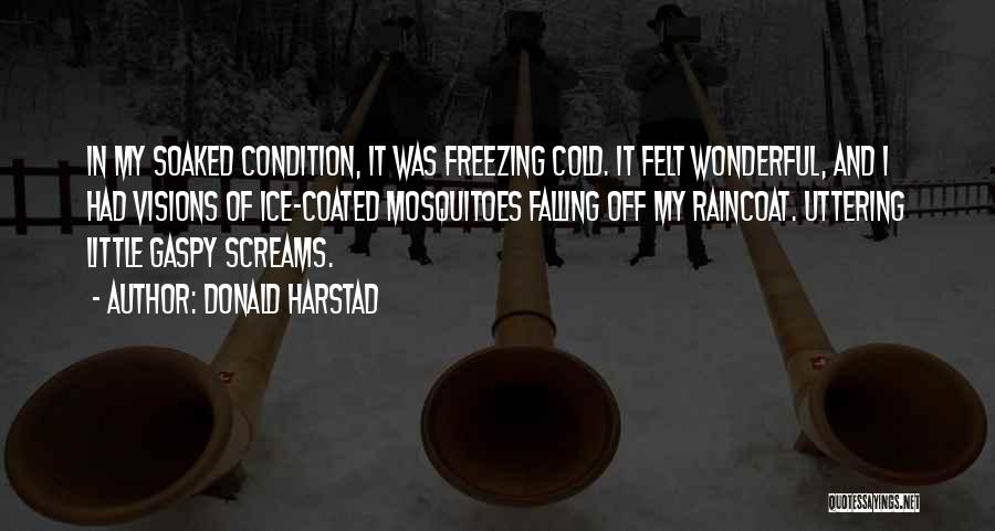 Donald Harstad Quotes: In My Soaked Condition, It Was Freezing Cold. It Felt Wonderful, And I Had Visions Of Ice-coated Mosquitoes Falling Off