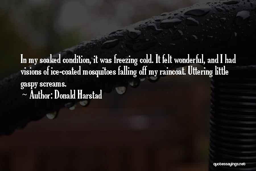 Donald Harstad Quotes: In My Soaked Condition, It Was Freezing Cold. It Felt Wonderful, And I Had Visions Of Ice-coated Mosquitoes Falling Off