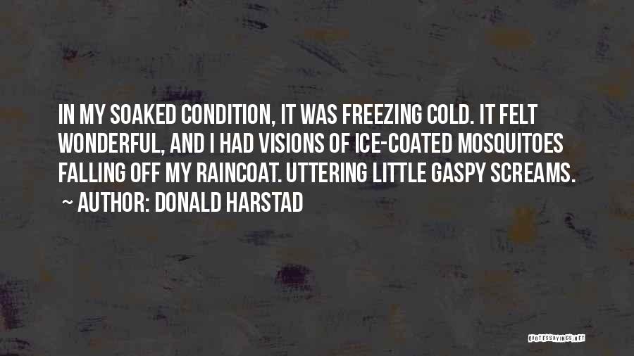 Donald Harstad Quotes: In My Soaked Condition, It Was Freezing Cold. It Felt Wonderful, And I Had Visions Of Ice-coated Mosquitoes Falling Off