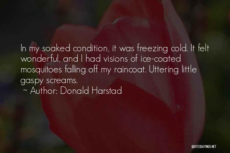 Donald Harstad Quotes: In My Soaked Condition, It Was Freezing Cold. It Felt Wonderful, And I Had Visions Of Ice-coated Mosquitoes Falling Off