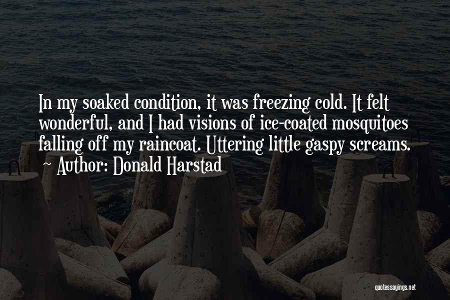 Donald Harstad Quotes: In My Soaked Condition, It Was Freezing Cold. It Felt Wonderful, And I Had Visions Of Ice-coated Mosquitoes Falling Off