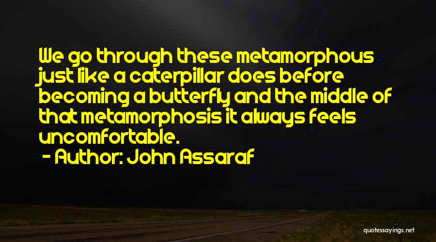 John Assaraf Quotes: We Go Through These Metamorphous Just Like A Caterpillar Does Before Becoming A Butterfly And The Middle Of That Metamorphosis