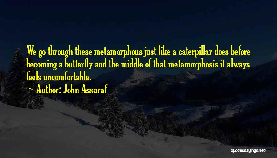 John Assaraf Quotes: We Go Through These Metamorphous Just Like A Caterpillar Does Before Becoming A Butterfly And The Middle Of That Metamorphosis