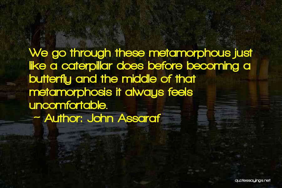 John Assaraf Quotes: We Go Through These Metamorphous Just Like A Caterpillar Does Before Becoming A Butterfly And The Middle Of That Metamorphosis